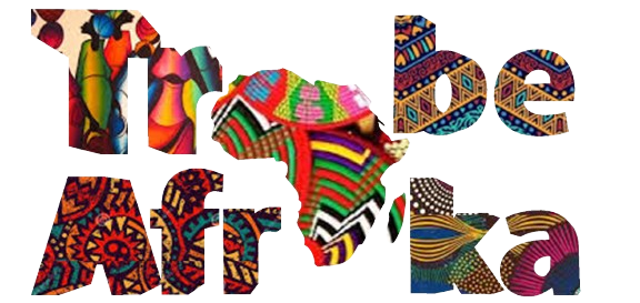 trybeafrika22 removebg preview